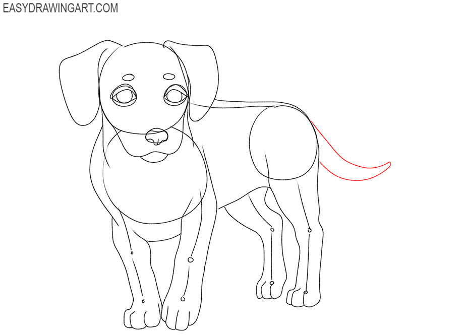 small dog drawing tutorial