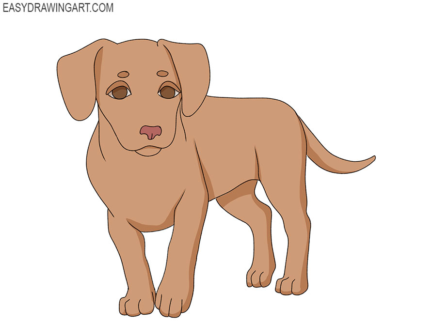  cartoon small dog drawing