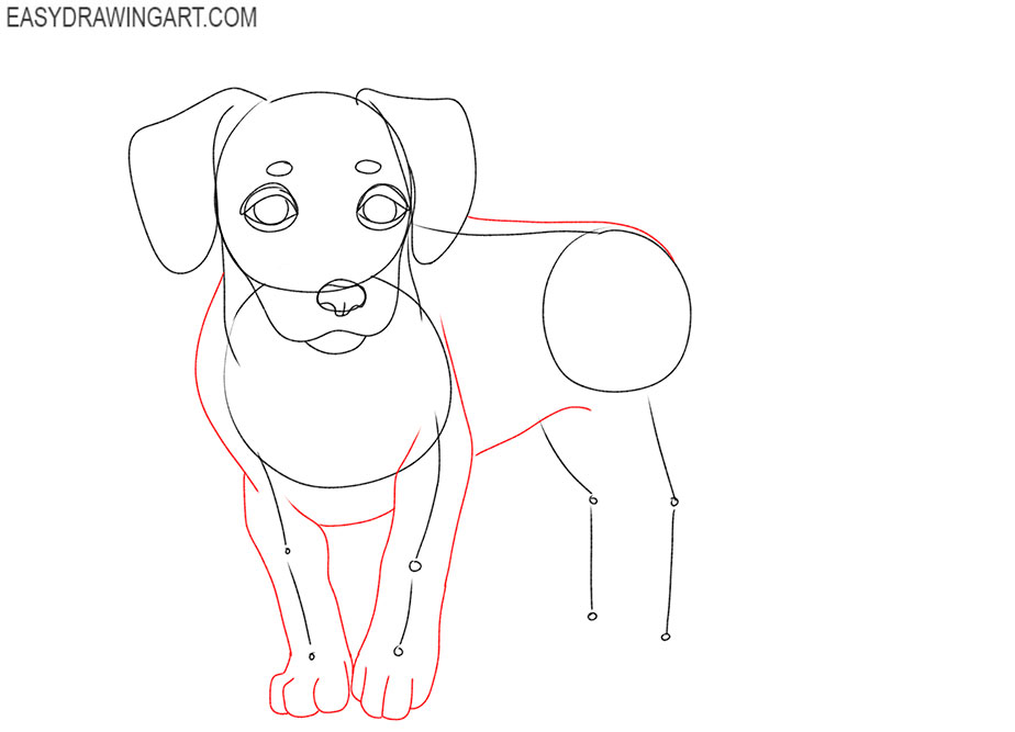 how to draw a realistic small dog