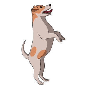 how to draw a standing dog