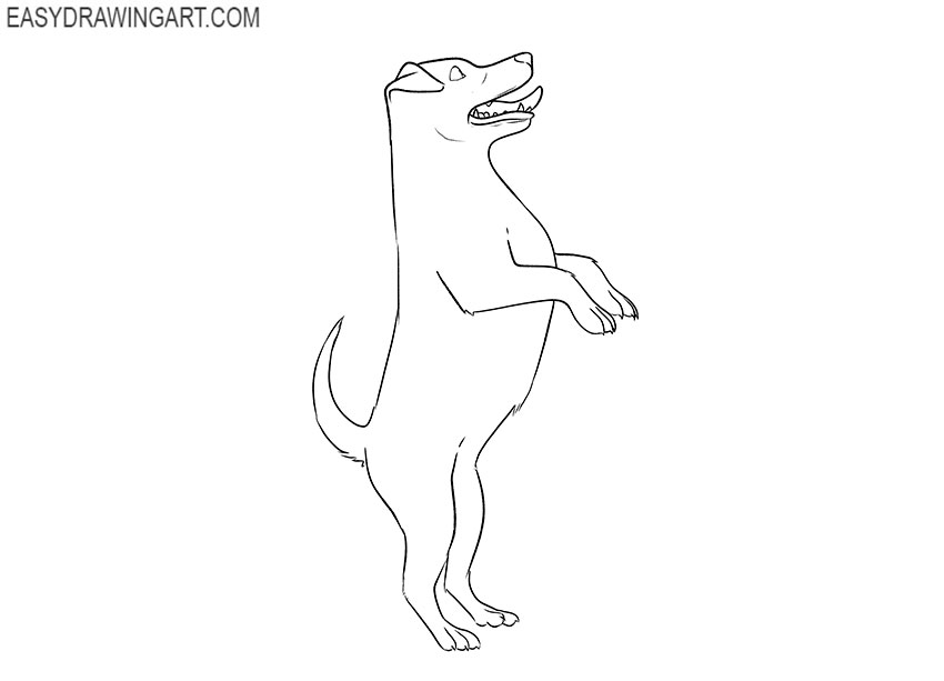 standing dog drawing for kindergarten