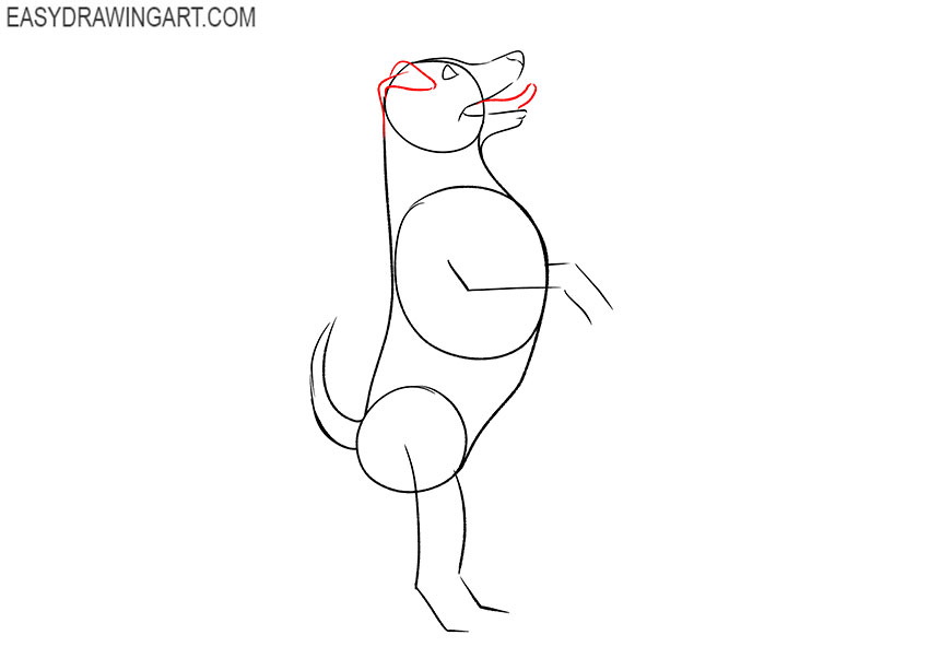 standing dog drawing tutorial