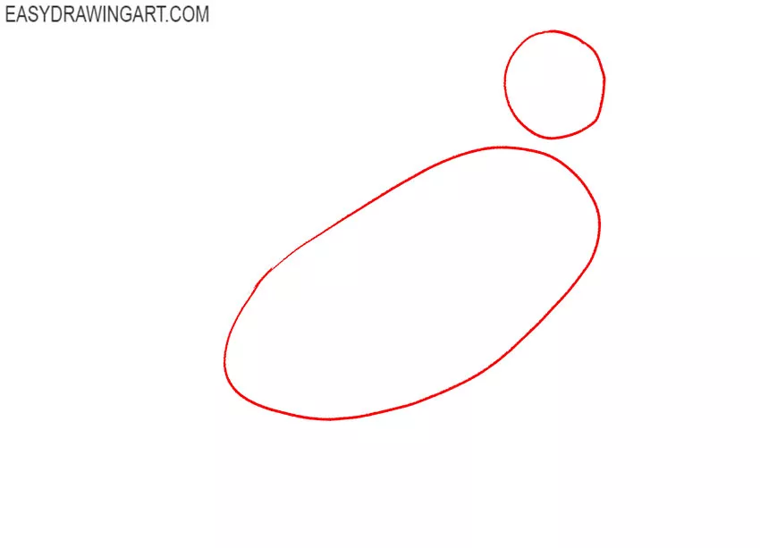 how to draw a budgie realistic