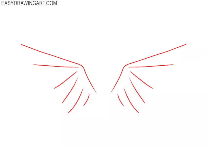how to draw bird wings step by step