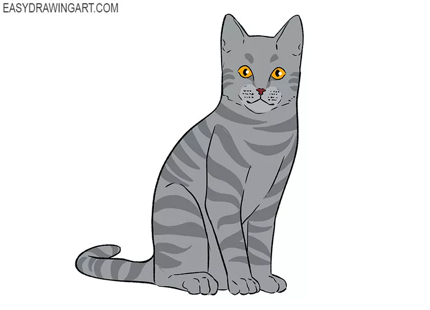Line Drawing Of Sitting Cat Stock Photo Picture And Royalty Free Image  Image 27576363