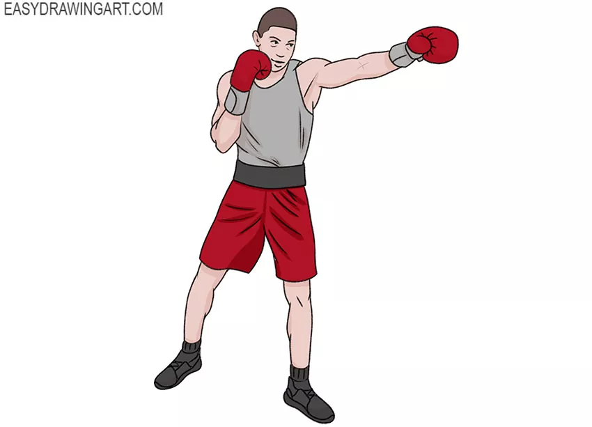  cartoon Boxer drawing