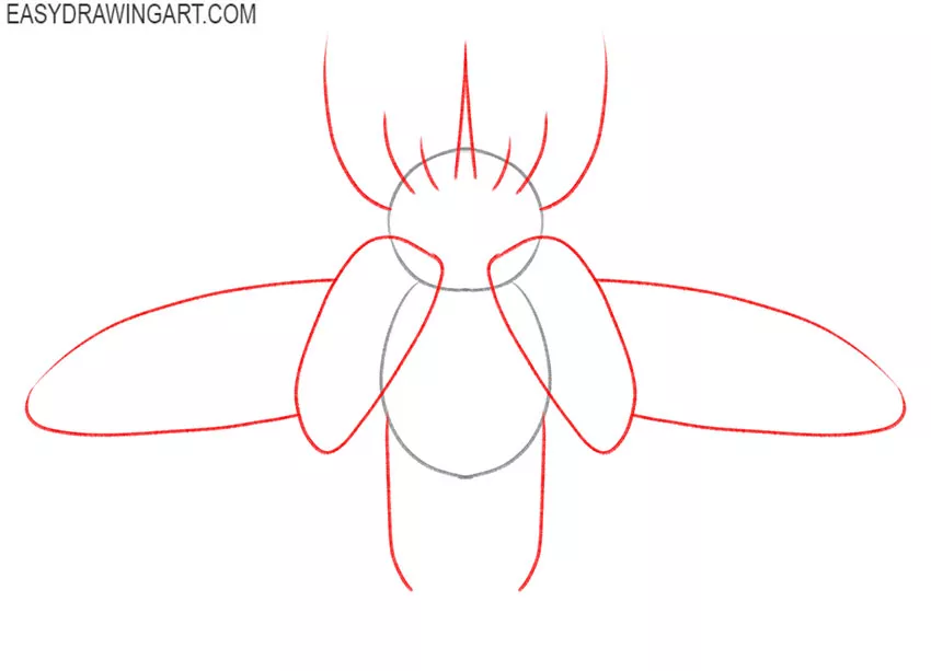 how to draw a beetle art hub