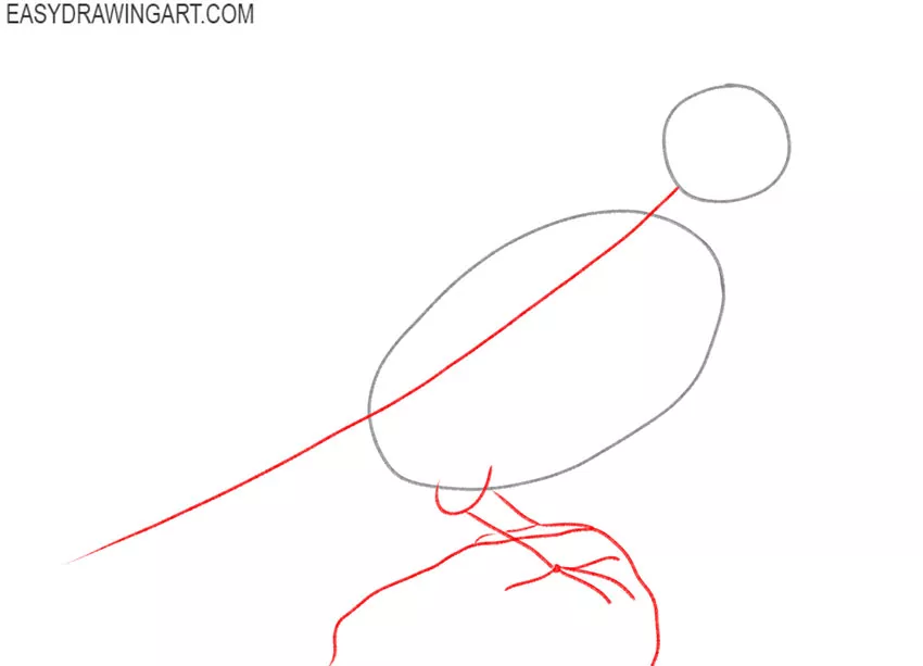 how to draw a bluebird art hub