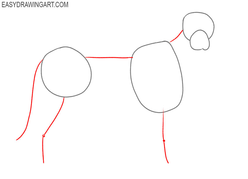 how to draw a border collie puppy