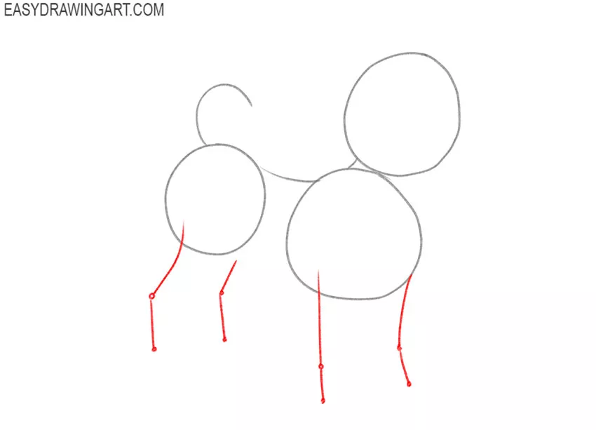 how to draw a chihuahua realistic