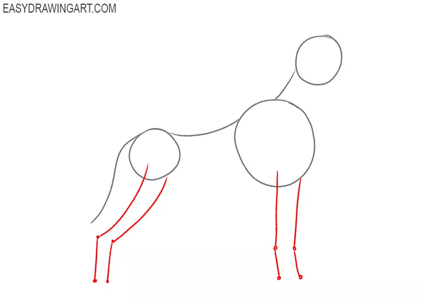 how to draw a great dane step by step