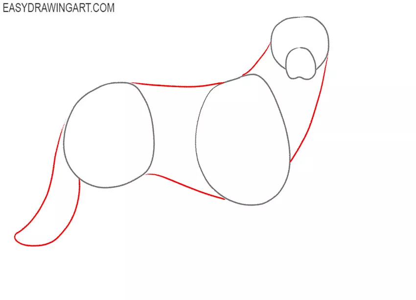 how to draw an Australian Shepherd for beginners