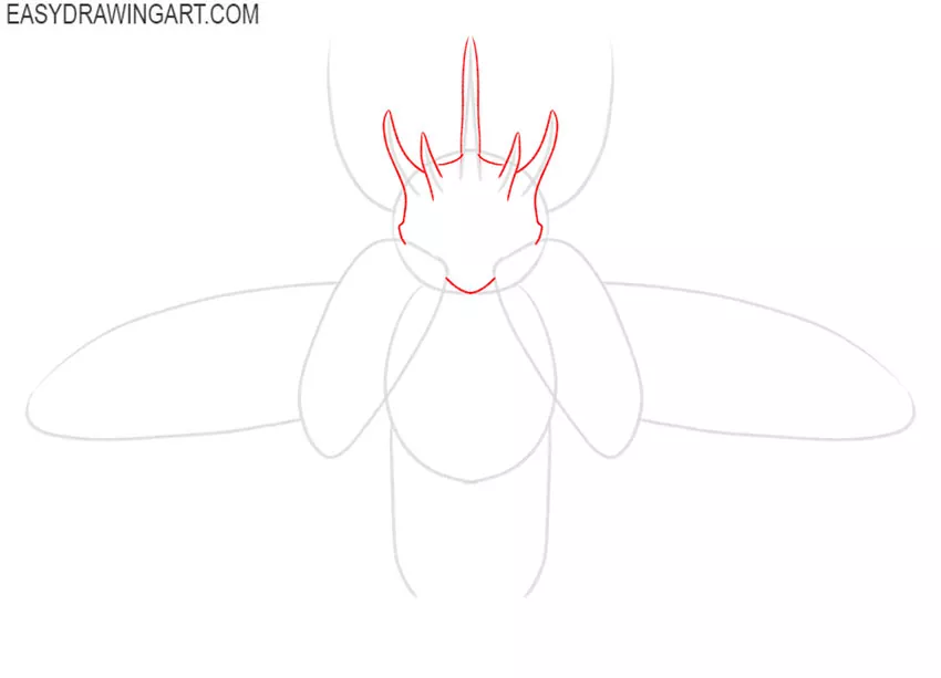 how to draw a beetle easy