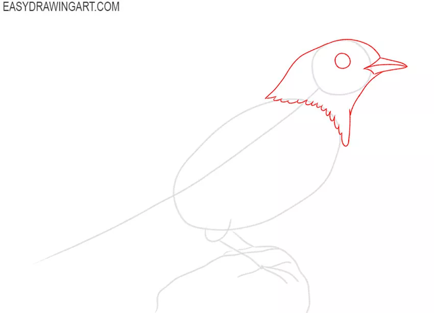 how to draw a blue bird easy