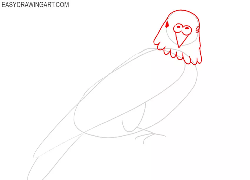 how to draw a budgie art hub