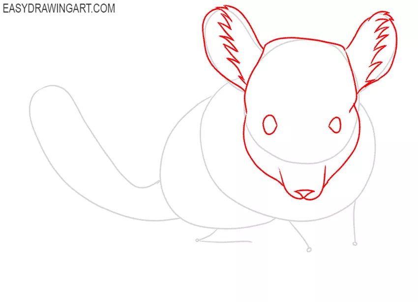 how to draw a chinchilla cute