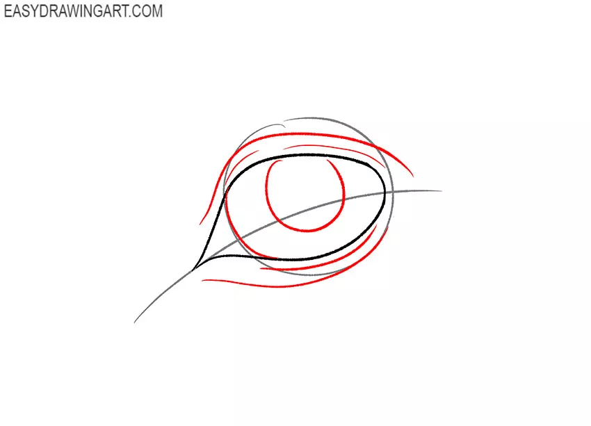 how to draw a horse eye from the front