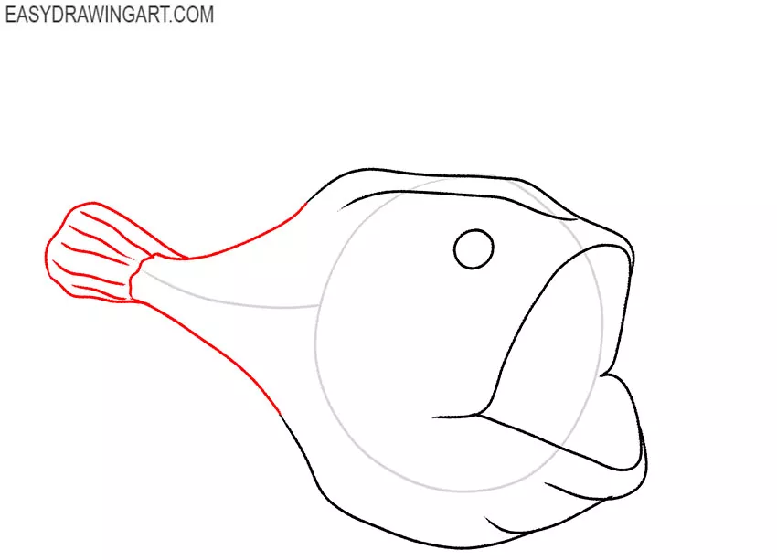 how to draw a realistic angler fish