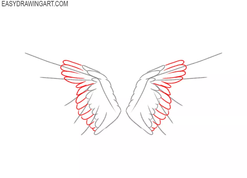 how to draw realistic bird wings