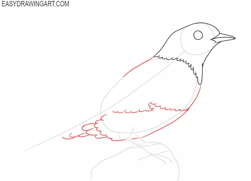 how to draw a blue bird flying