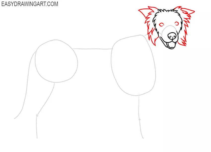 how to draw a border collie step by step