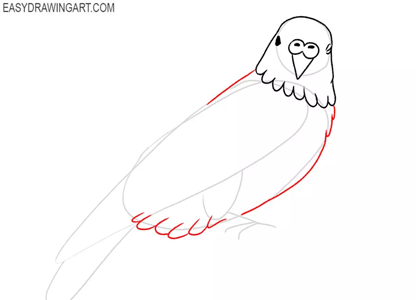 how to draw a budgie step by step