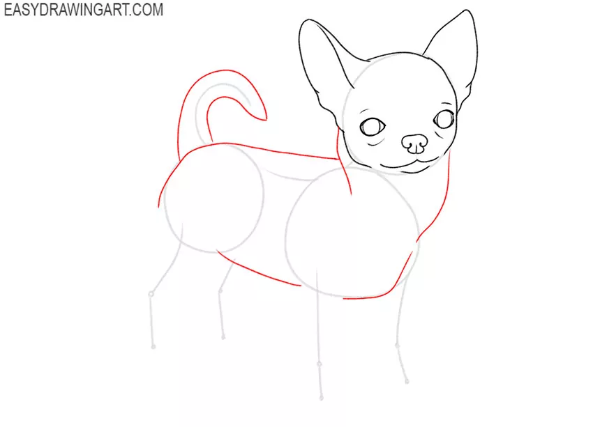 how to draw a chihuahua art hub