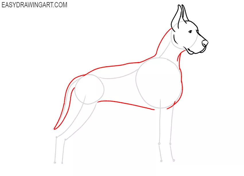 how to draw a great dane dog