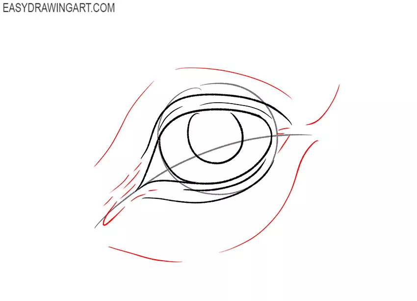 how to draw a horse eye cartoon