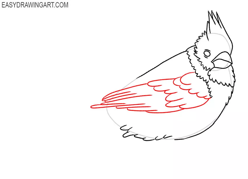 Learn the easiest ways to draw birds | Bird drawings, Drawing tutorial,  Drawings