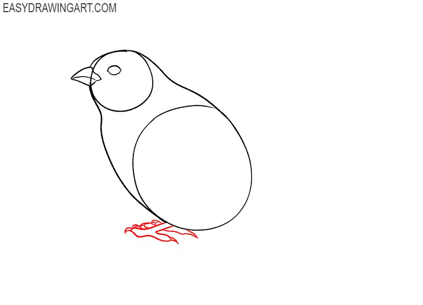 how to draw a sparrow flying