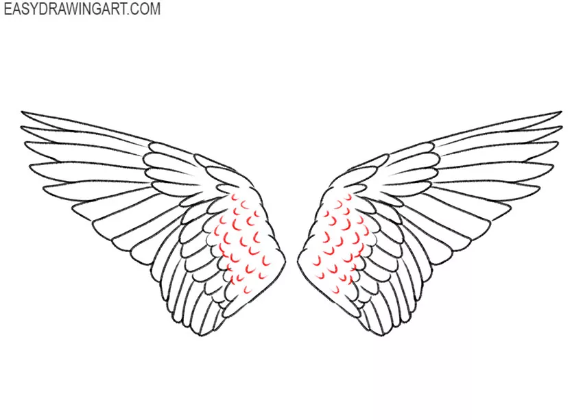 bird wings drawing lesson