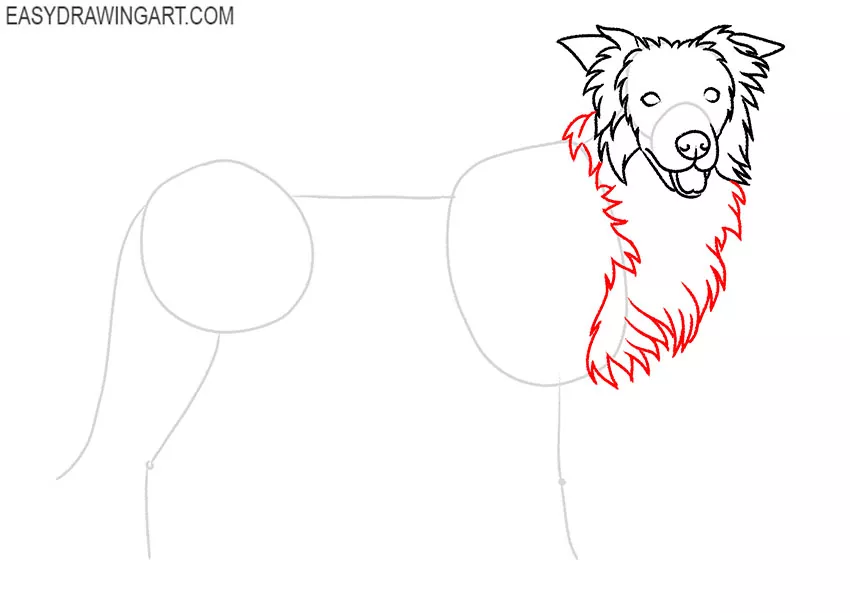 how to draw a border collie art hub