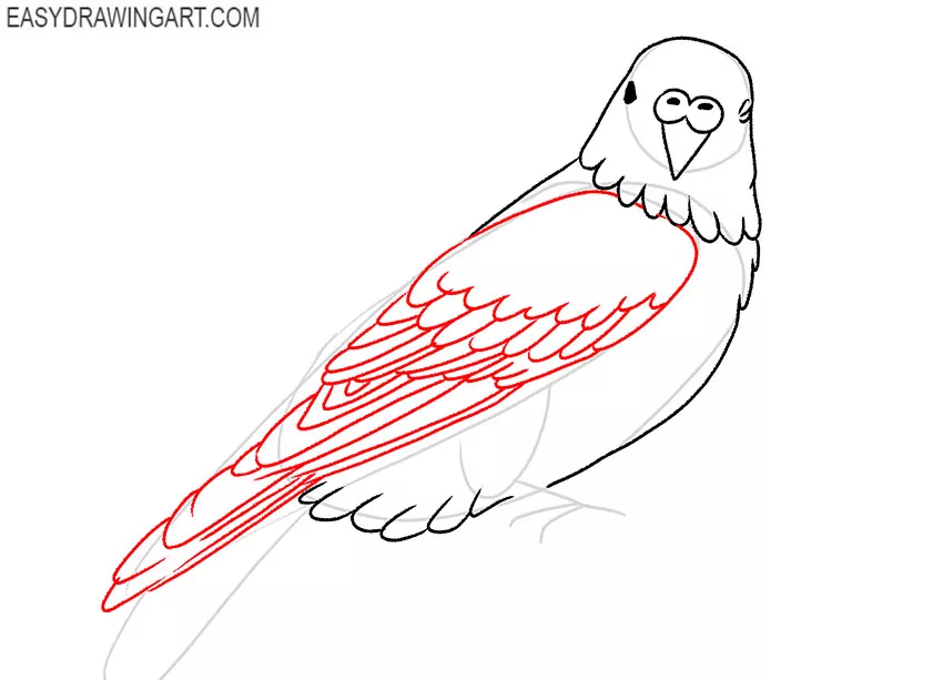 how to draw a budgie simple