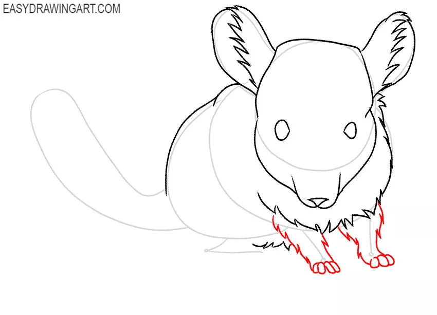 how to draw a cartoon chinchilla