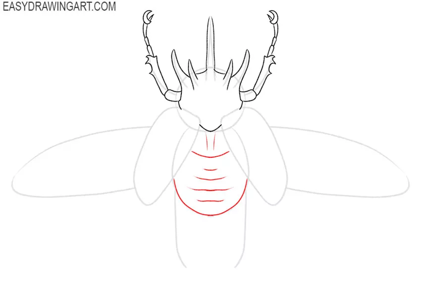 how to draw a cute beetle