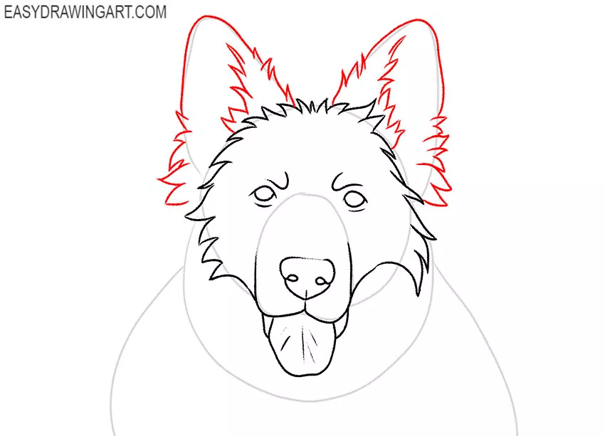 how to draw a german shepherd head