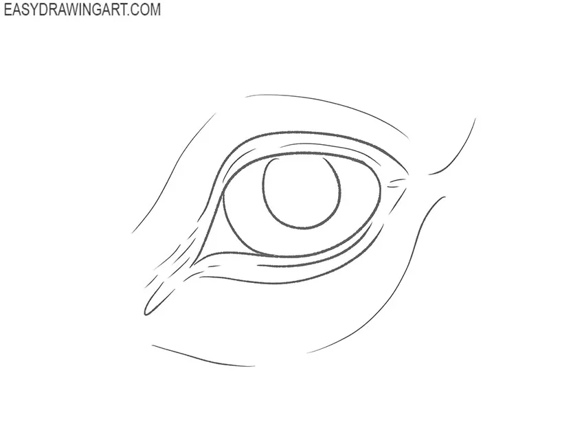 how to draw a horse eye for beginners