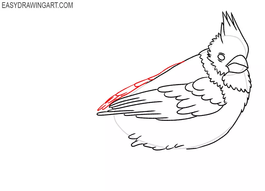 how to draw a red bird step by step
