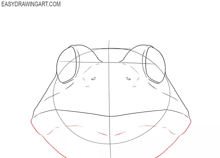 how to draw a simple frog face