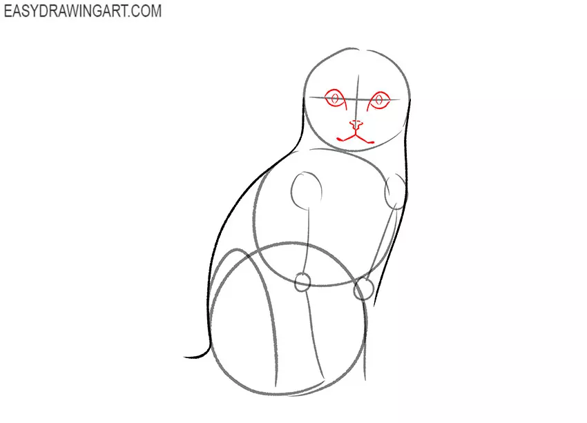 how to draw a simple sitting cat