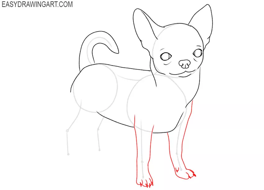 how to draw a small chihuahua dog