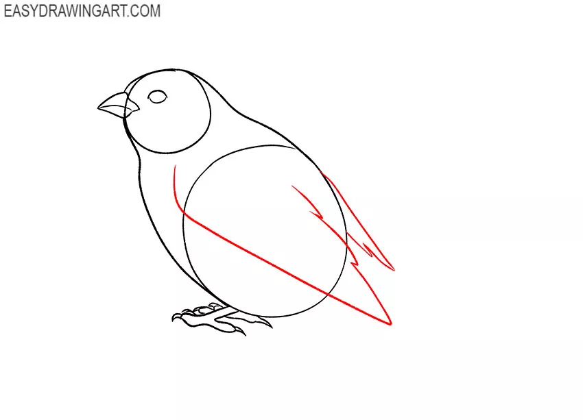 how to draw a sparrow easily