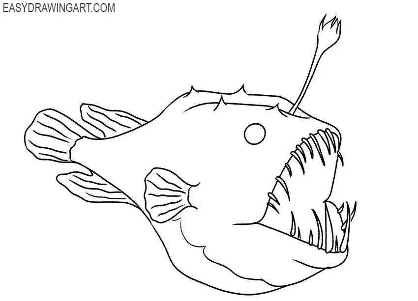 anglerfish drawing lesson