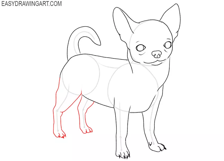 how to draw a baby chihuahua