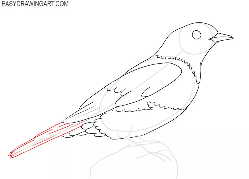how to draw a cute blue bird