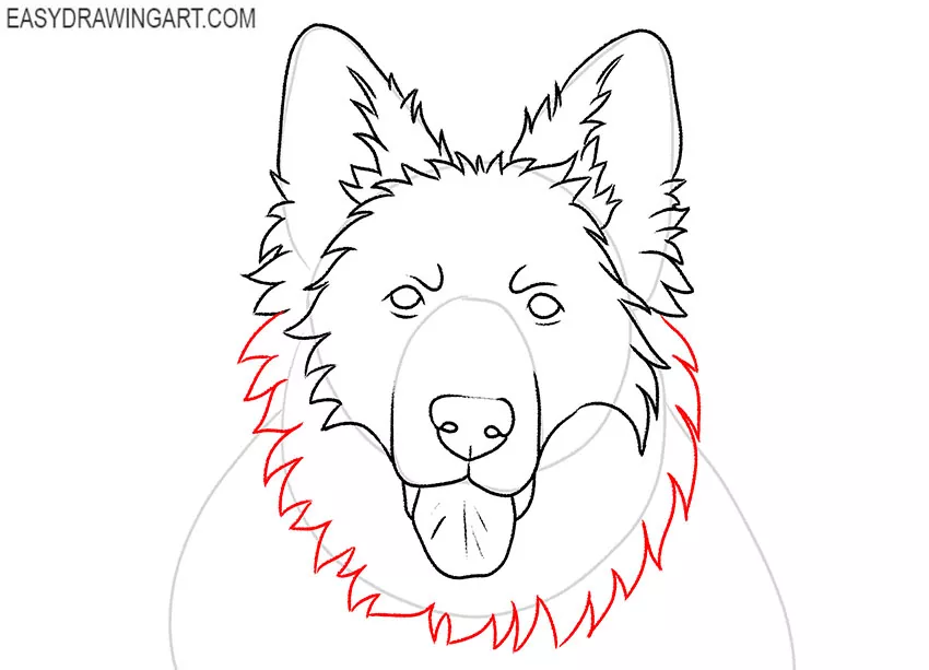 how to draw a german shepherd dog face