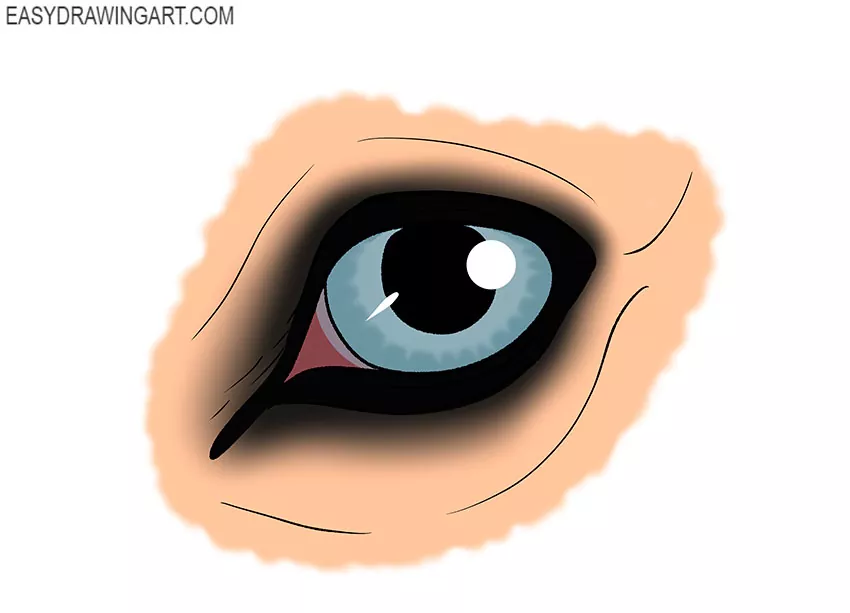 how to draw a realistic horse eye