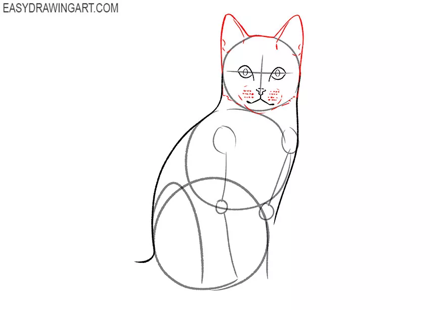 how to draw a realistic sitting cat