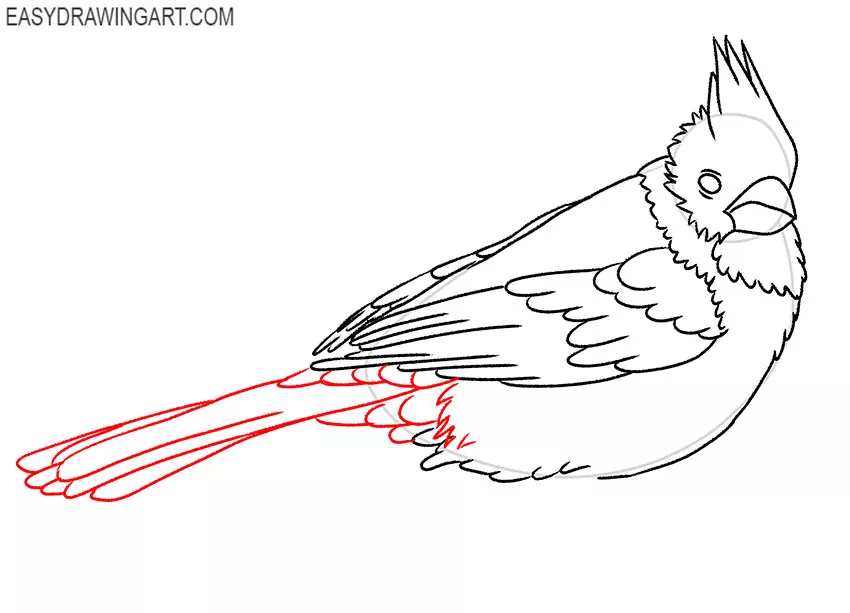how to draw a red cardinal bird